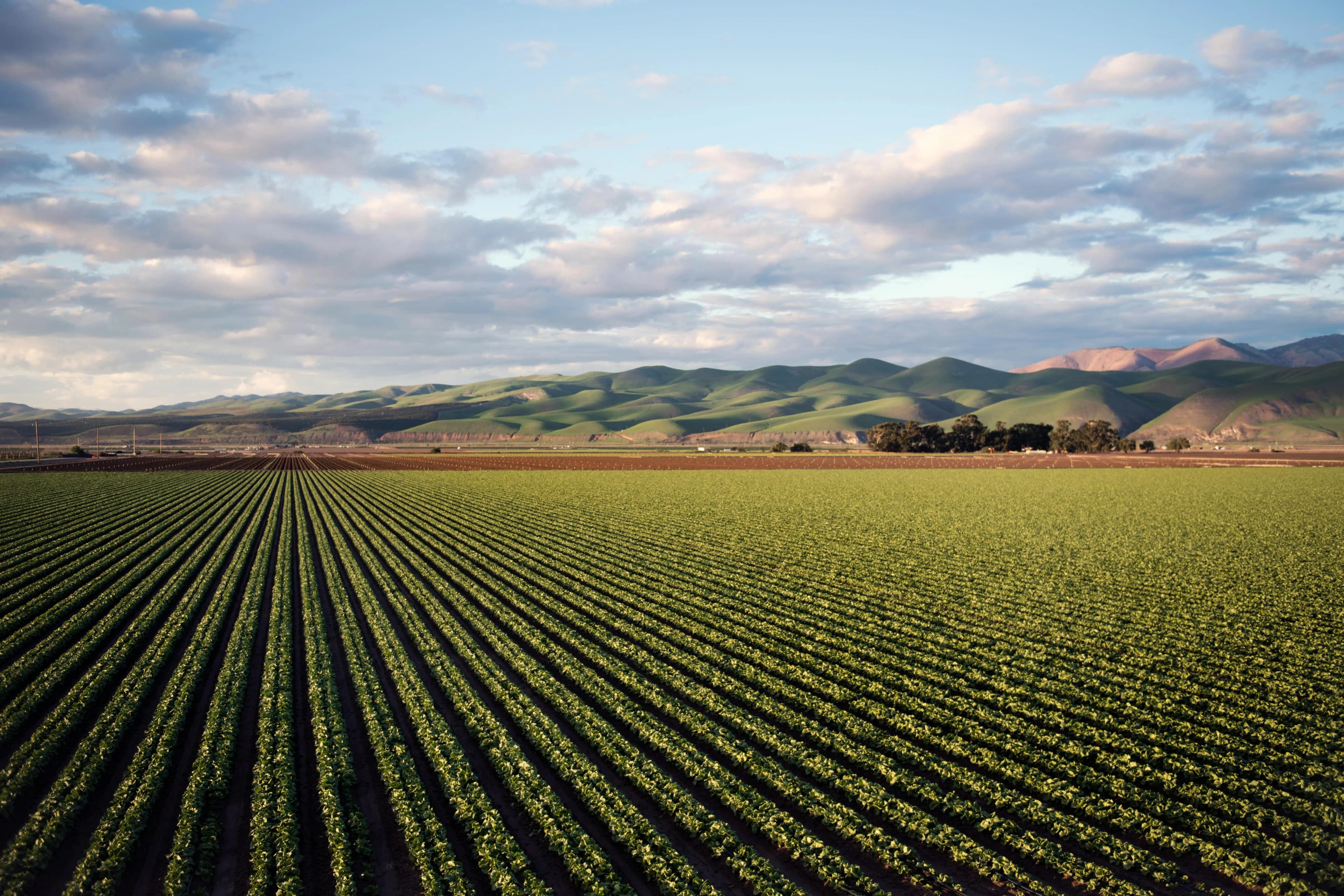 Hero Section Agriculture and Irrigation Image